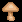 island_mushroom.gif (937 bytes)