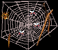 spider.gif (3406 bytes)
