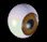 spike_eyeball.gif (1417 bytes)