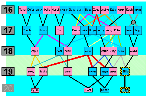 gen 16 to 20 tree