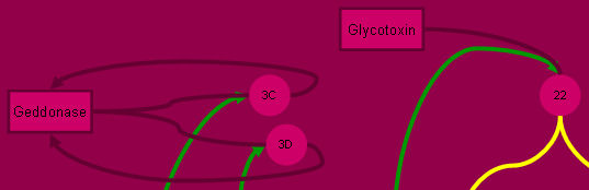 glyco+geddo.jpg (13591 bytes)