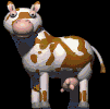 cow.gif (3776 bytes)