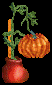 pumpkins.gif (2310 bytes)