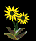 s_flower.gif (1204 bytes)