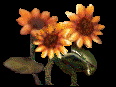 sunflowers.gif (4828 bytes)