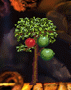 r&g apple trees.gif (7000 bytes)