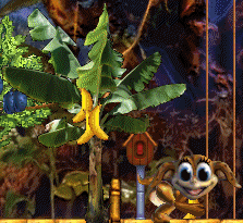 Vickey by the Banana Plant
