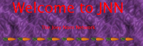 The Joey Norn Network